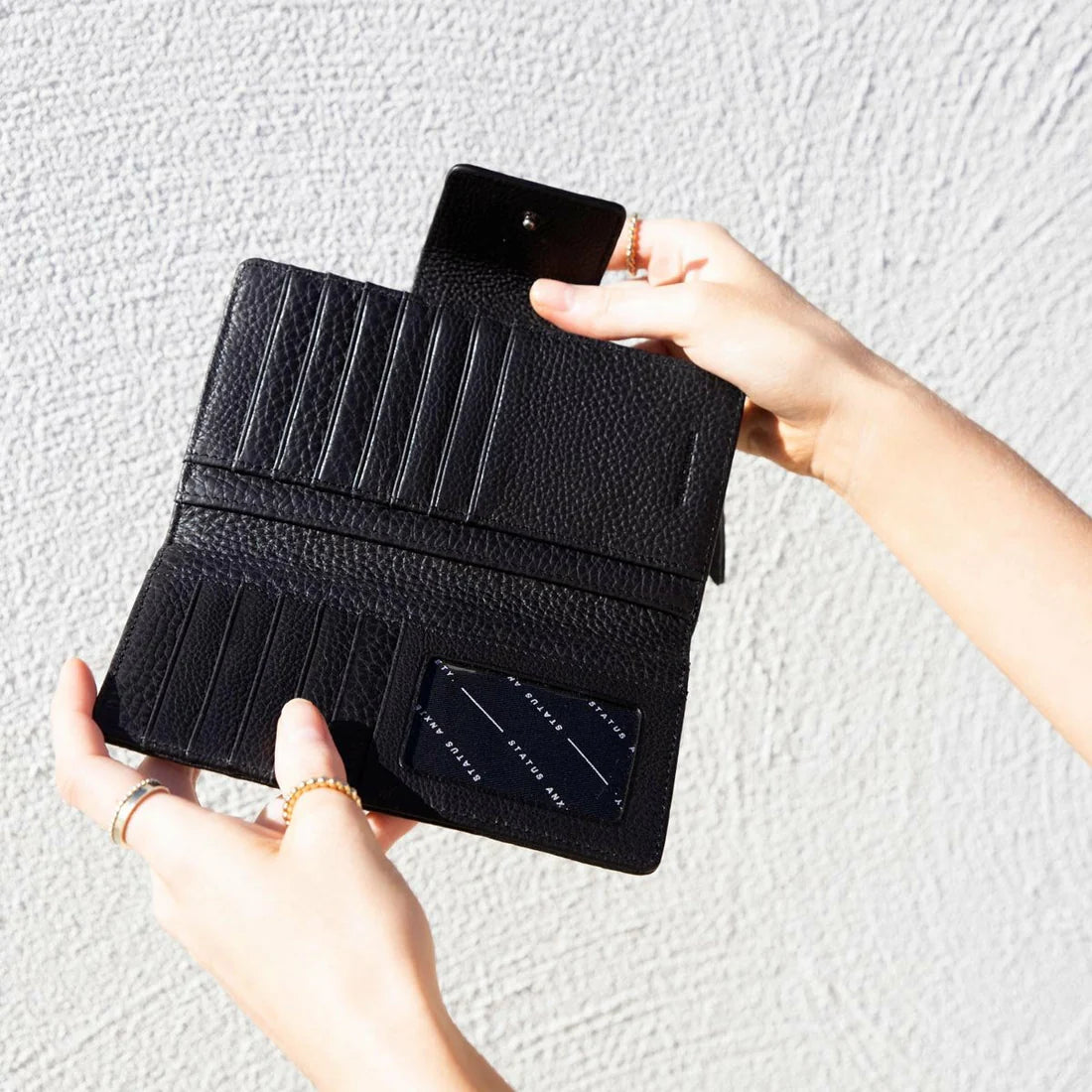 STATUS ANXIETY Ruins Wallet | Black