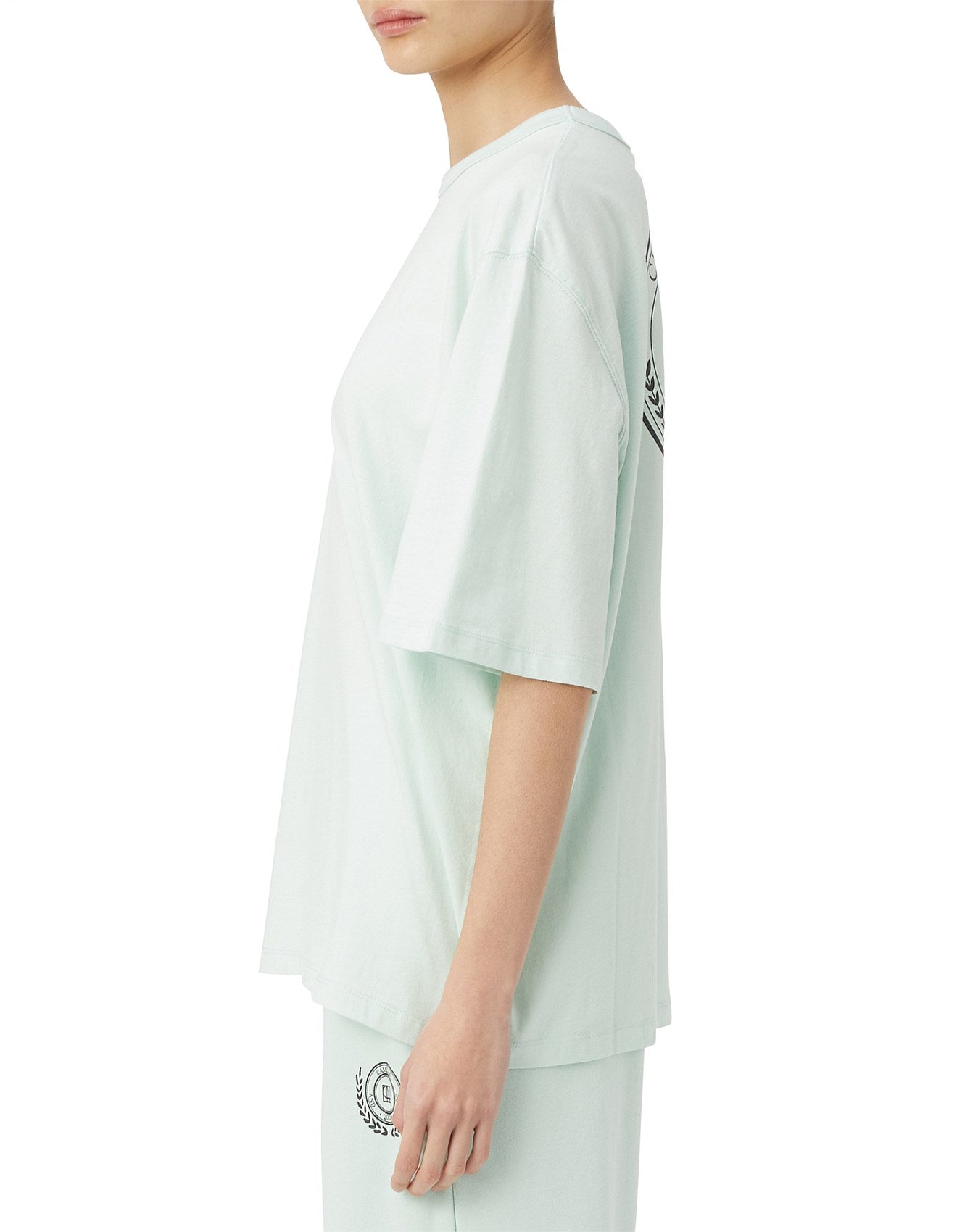 CAMILLA AND MARC Wade Oversized Tee | Pale Mint