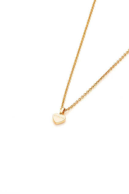 Stolen Heart Necklace | Gold Plated