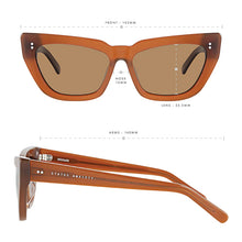 Load image into Gallery viewer, Desolate Sunglasses | Brown
