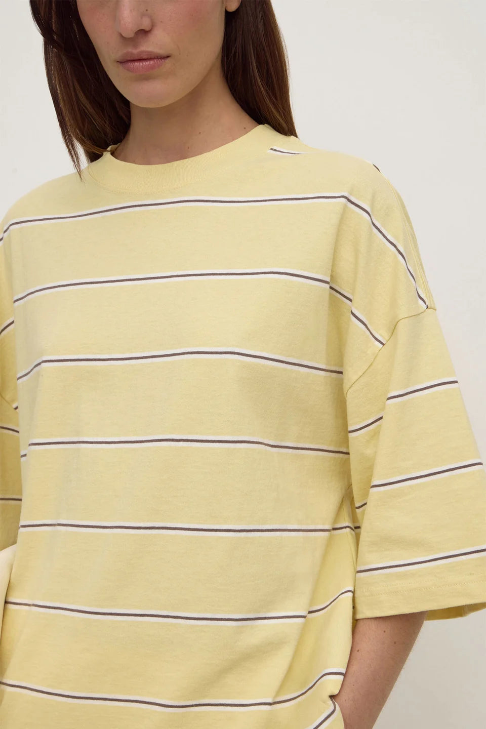 ASSEMBLY LABEL Nora Cotton Oversized Tee | Rind Stripe
