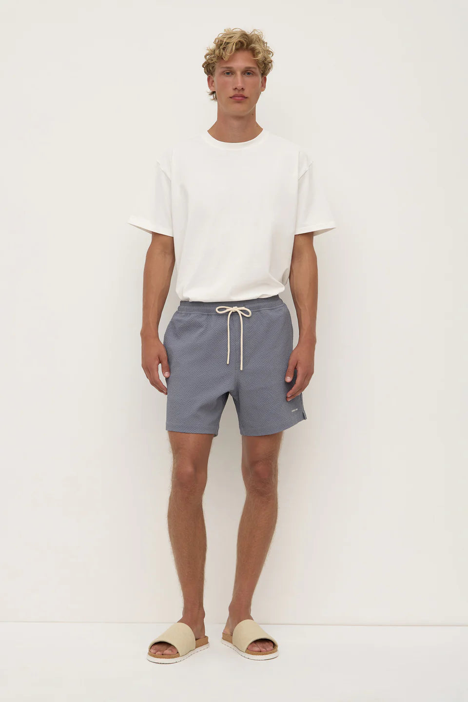 ASSEMBLY LABEL Seth Swim Short | Alphasalt