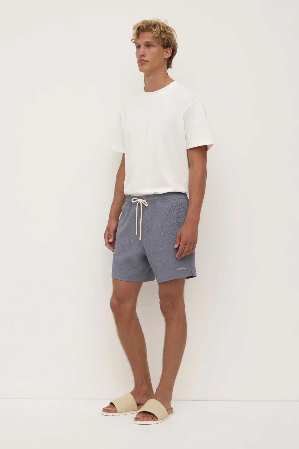 ASSEMBLY LABEL Seth Swim Short | Alphasalt