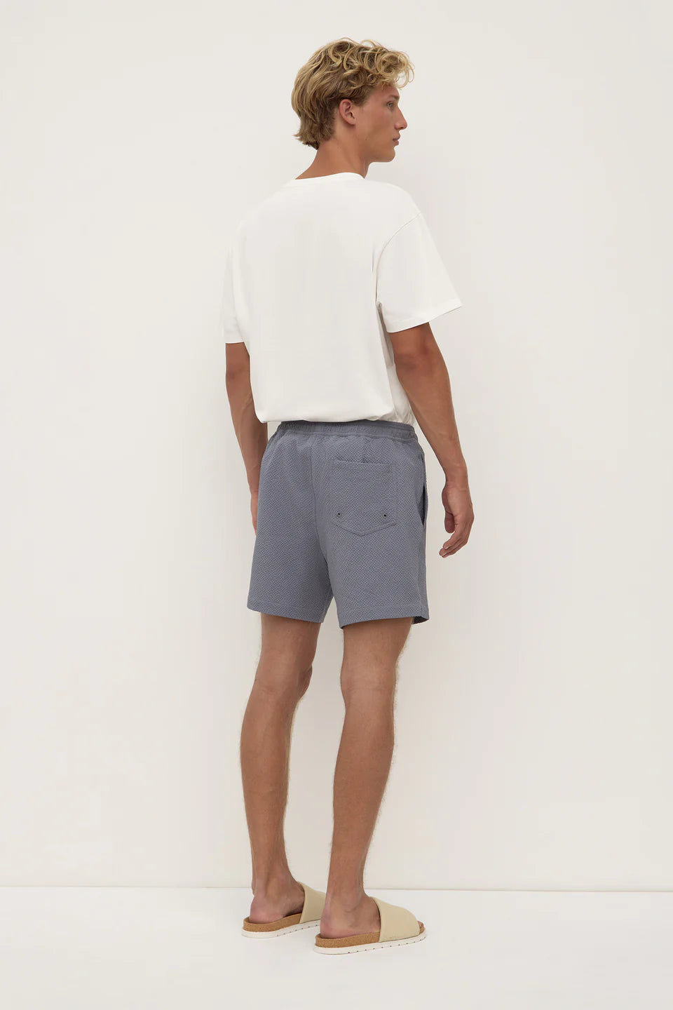 ASSEMBLY LABEL Seth Swim Short | Alphasalt