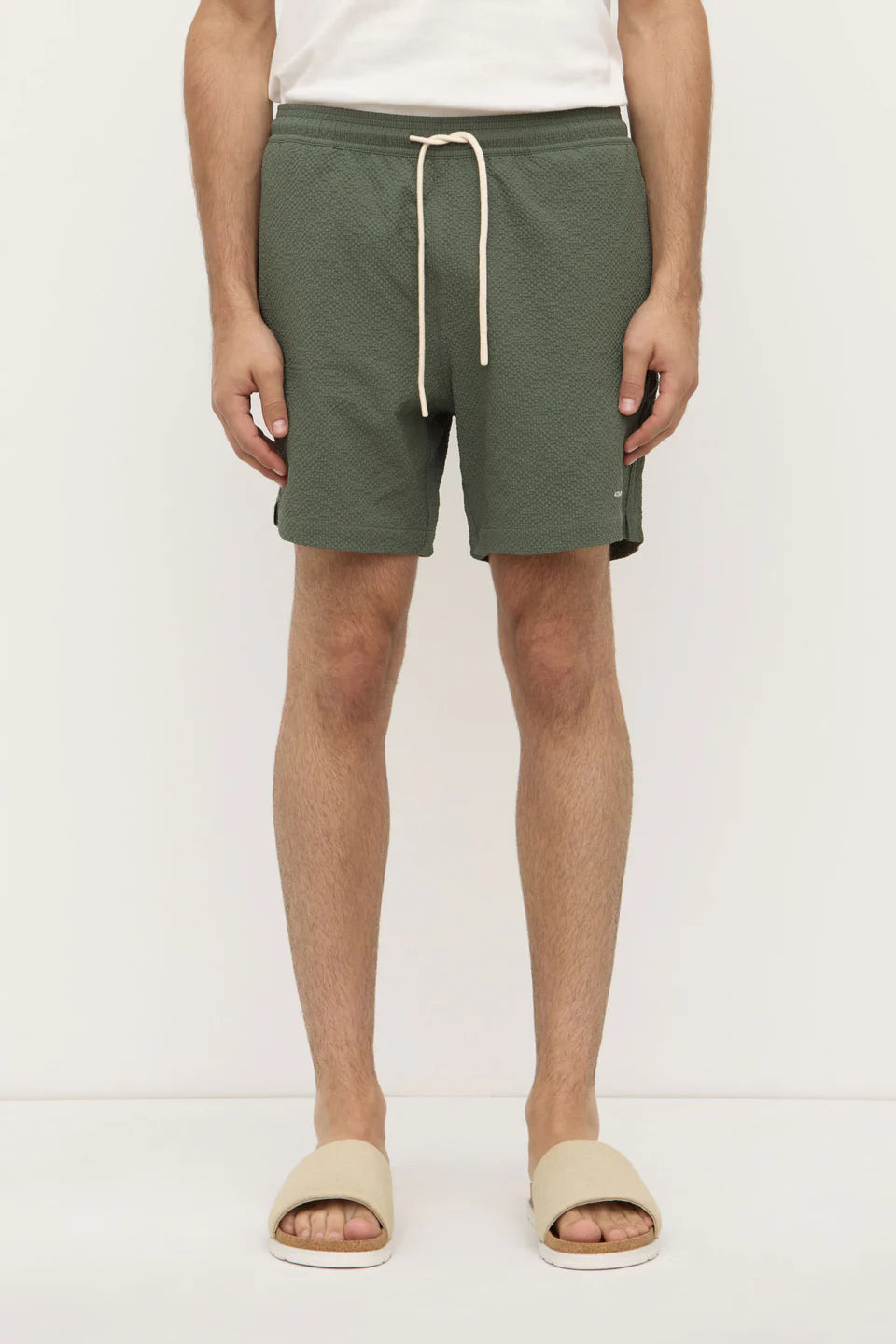 ASSEMBLY LABEL Seth Swim Short | Hallow